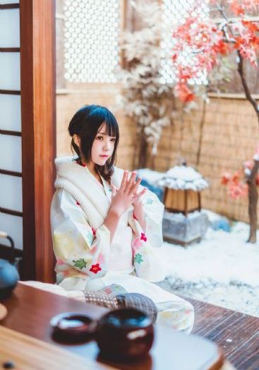 雪中悍刀行2