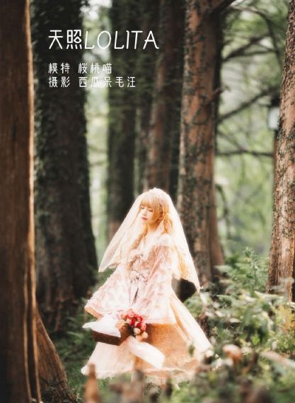 康熙微服私访记4全集免费